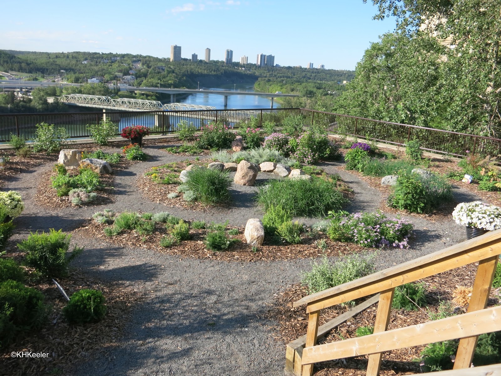 A Wandering Botanist The Range of Prairie PlantsNatives of Edmonton