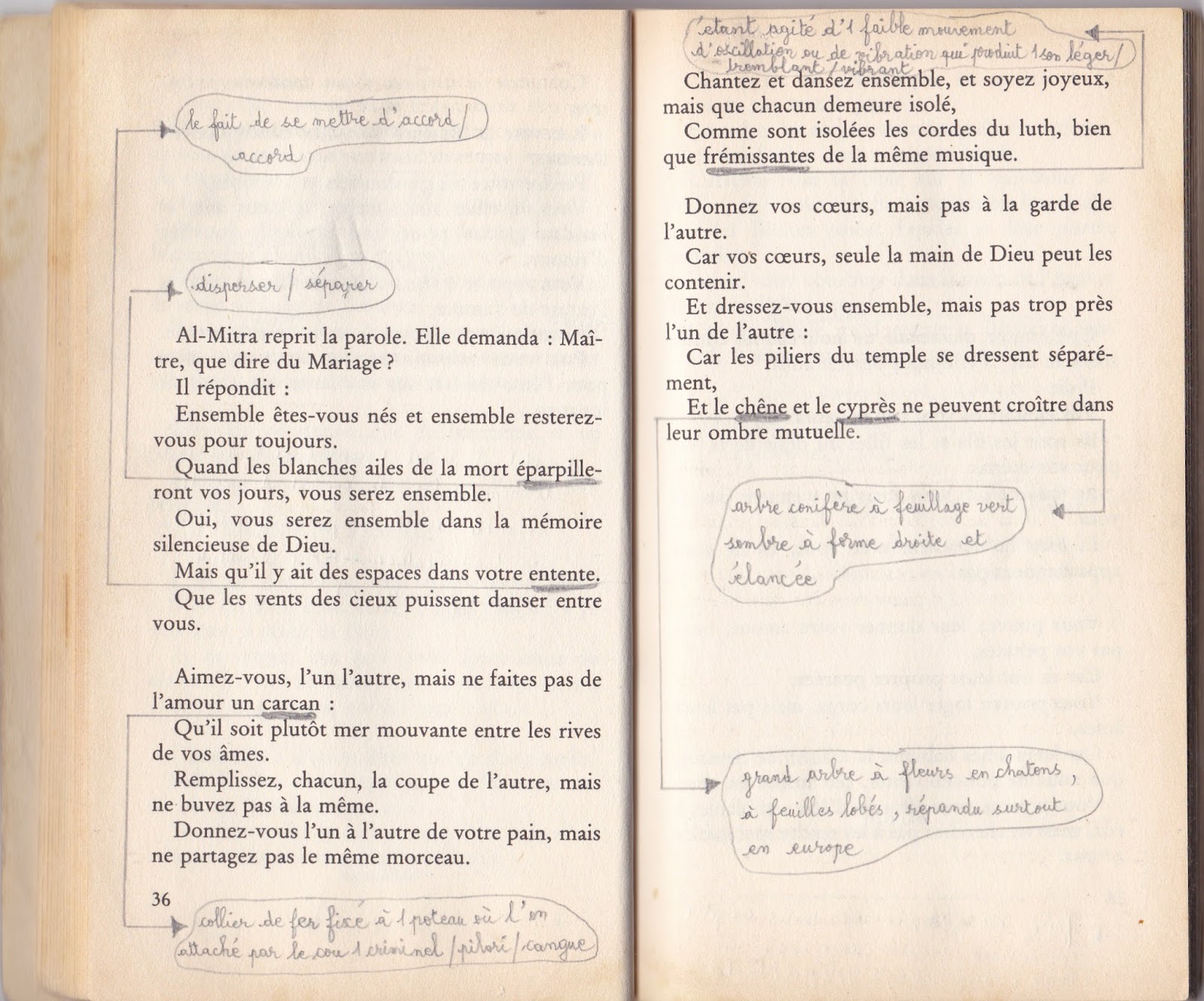Resume Le Prophete Par Gibran Khalil Gibran