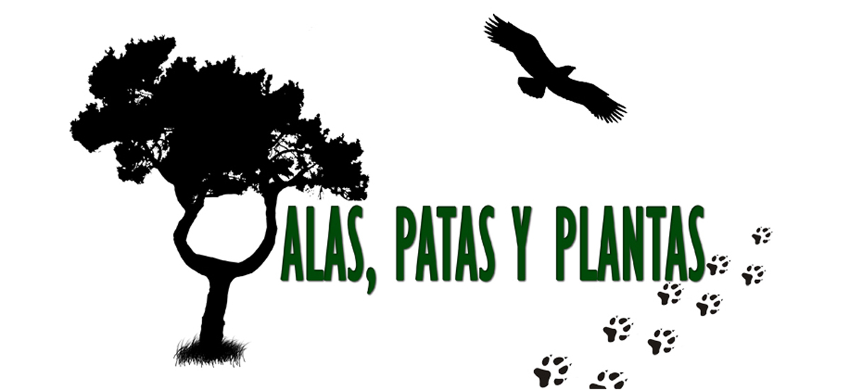 alas, patas y plantas