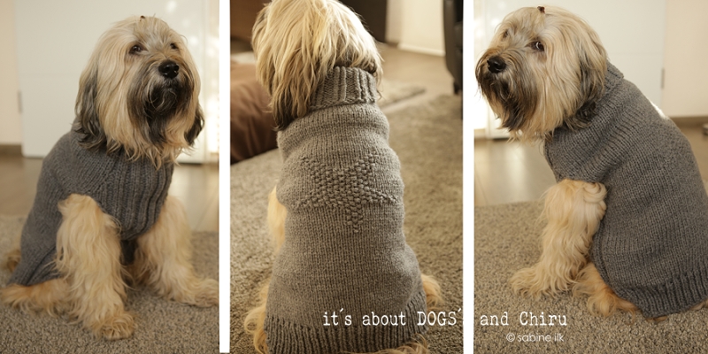 DIY für Hunde Hundepullover selber stricken ABOUT DOGS AND CHIRU