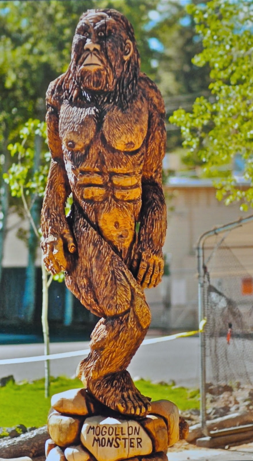 Finding Arizona The Mogollon Monster