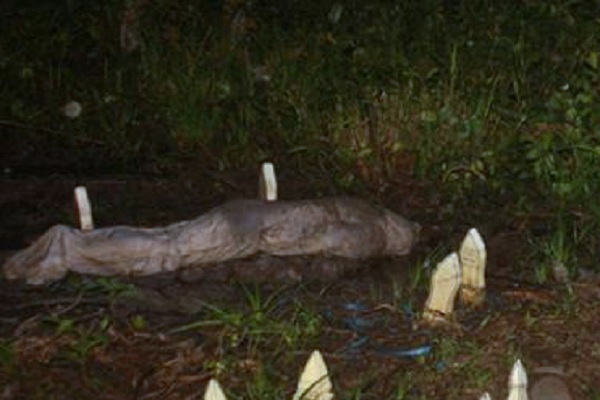 Kisah Nyata Buta Didepan Ka`bah Karena Didunia Hobi Mengumpulkan Harta Dengan Berbagai Cara Kisah Nyata Buta Didepan Ka`bah Karena Didunia Hobi Mengumpulkan Harta Dengan Berbagai Cara