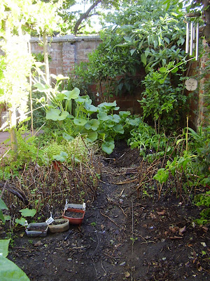 Mi Mano de Yeso: Día de la Tierra