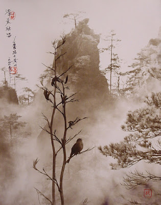 Fotografía de Don Hong Oai: pájaros y montaña