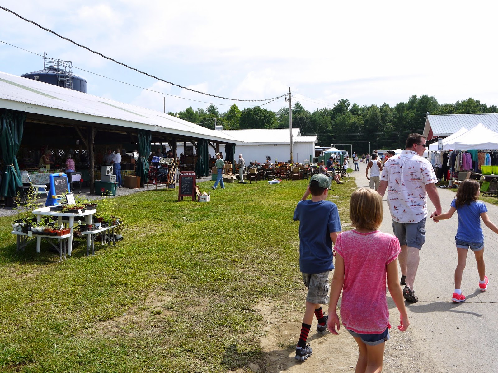 So much to dew New york week 8