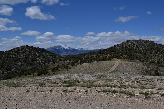 hills and Mount Hamilton