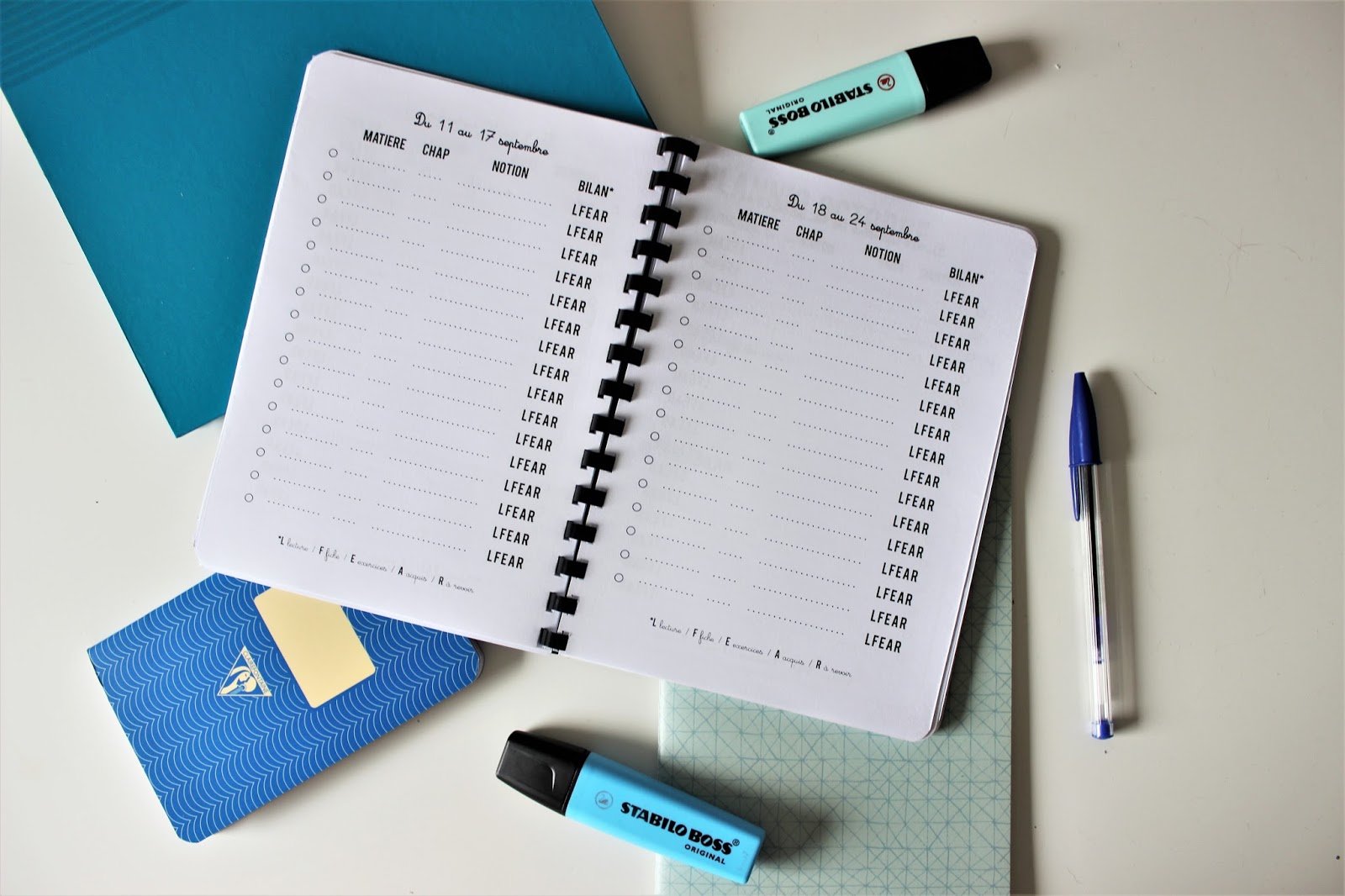 Le journal de préparation au CRPE 2018 [Printable] Mais tu fais quoi