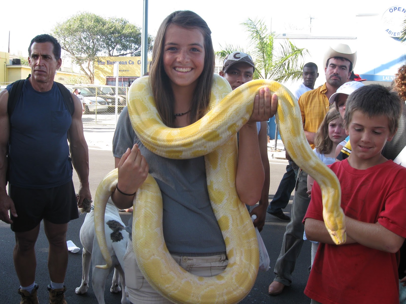 Snake Handling New Images 2013-14 | Beautiful And Dangerous Animals ...