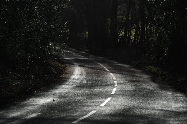 Gullwing Photography: Damp winter in the Surrey Hills