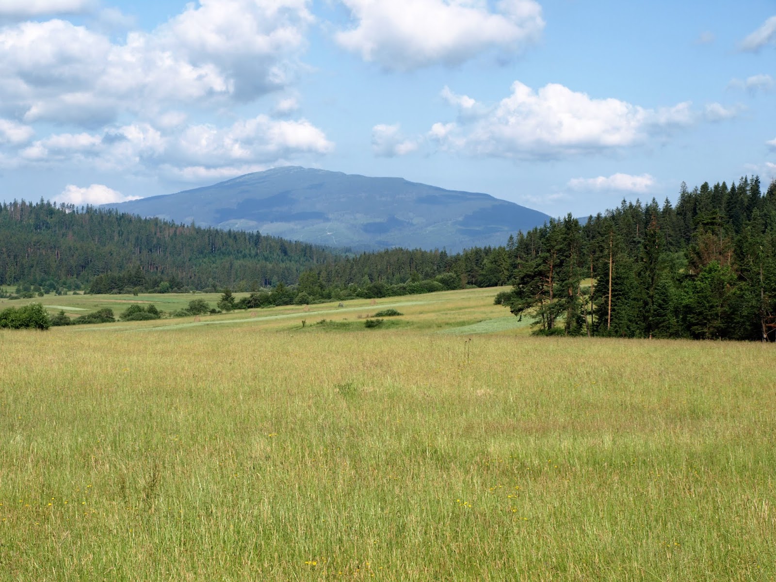 Pogoda Przyroda Jordanoviana Na Grzyby Pod Babia Gore