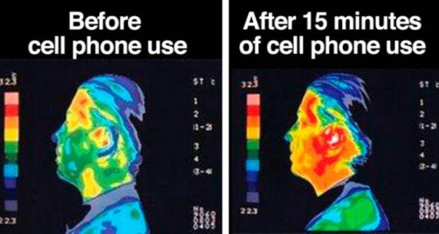 Cell Phones Radiation 10 Simple Precautions Crazzy Craft Antennas For Cell Phones Are Continually Searching Signals From Towers To Send And Receive Information The Body Or Brain Absorbs About Half