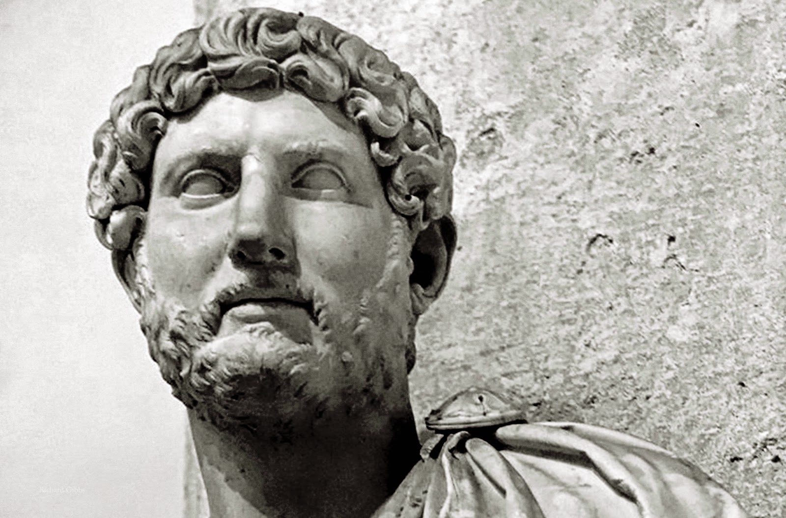 Hadrian essay 06 image