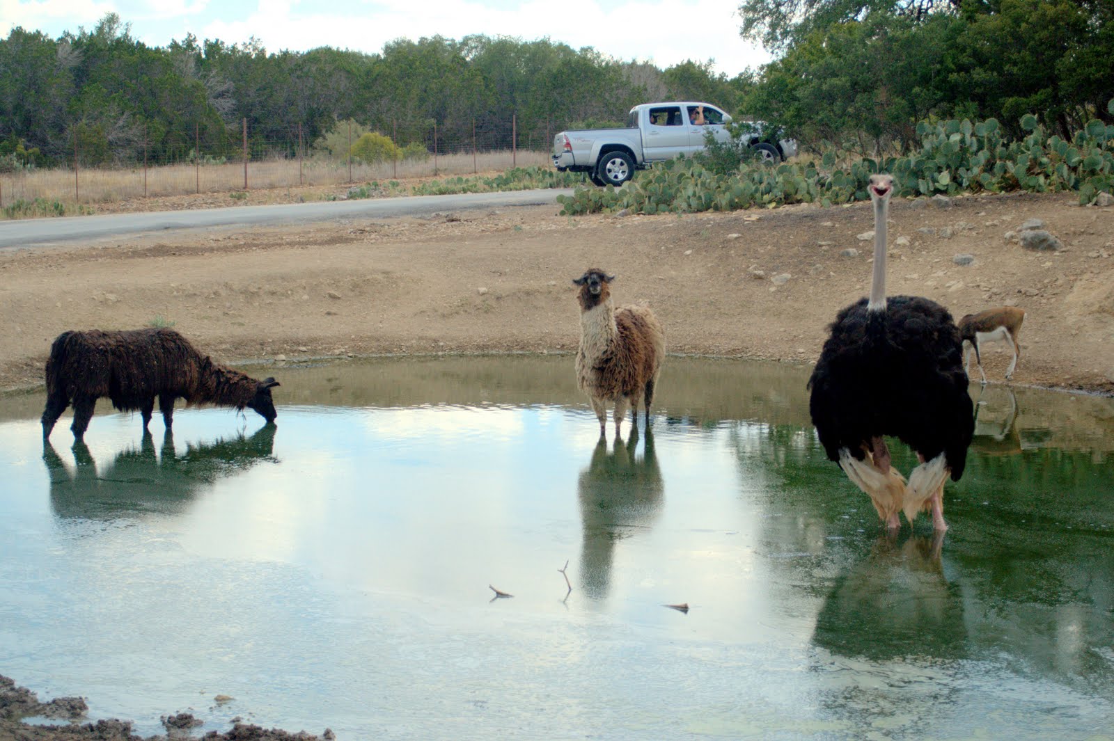 Life's Perception & Inspiration Wildlife Ranch Adventure