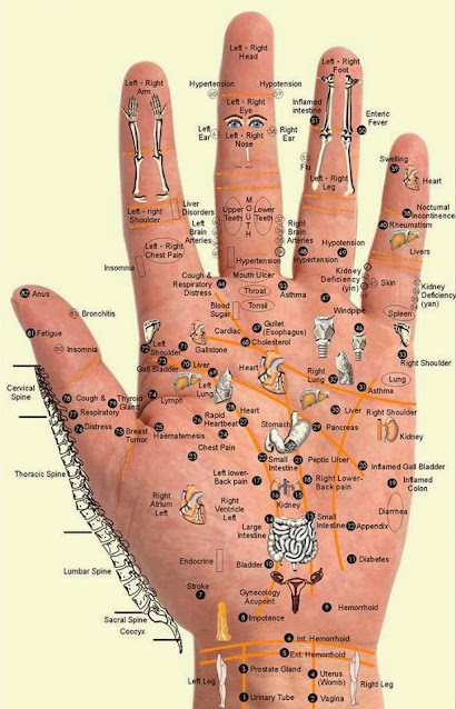 Reflexology hands and feet