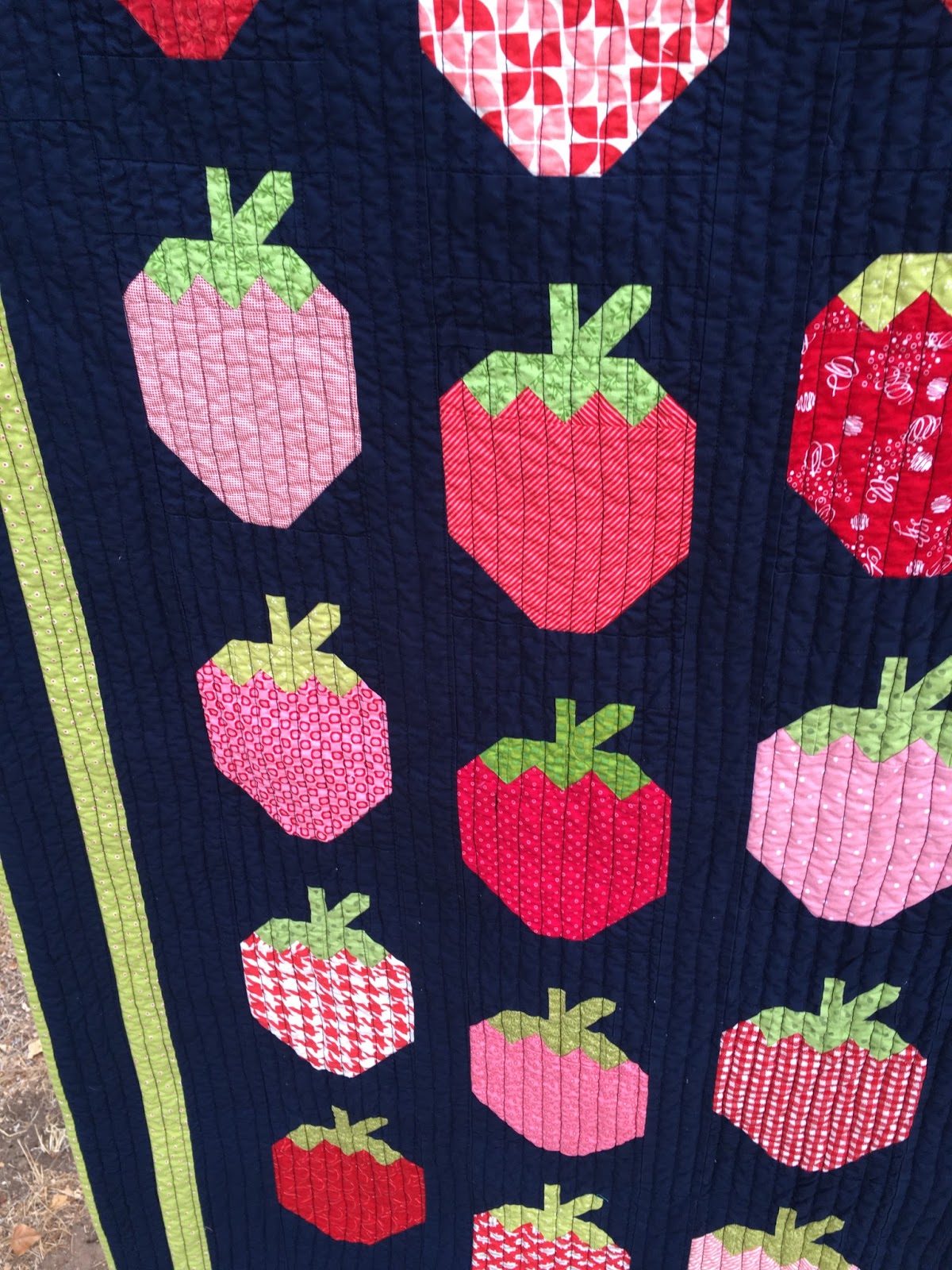 Tanya Quilts in CO Strawberry Social Quilt
