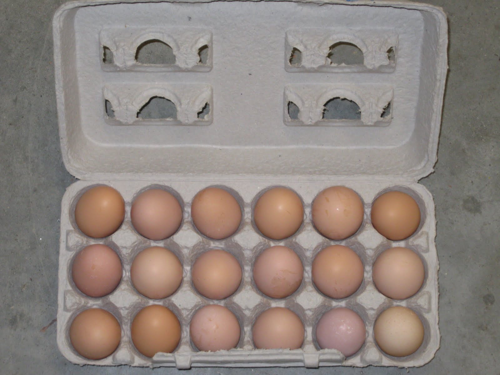 Home Grown I'm putting all my eggs in one basket