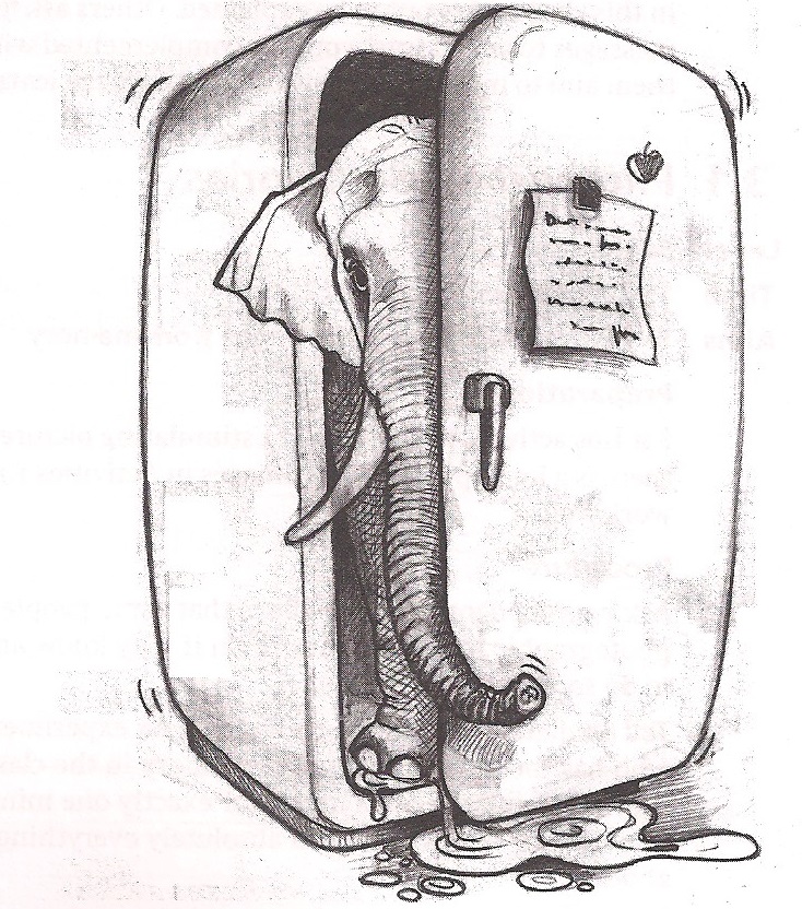 English Calisto y Melibea An elephant in the fridge ! How did it get