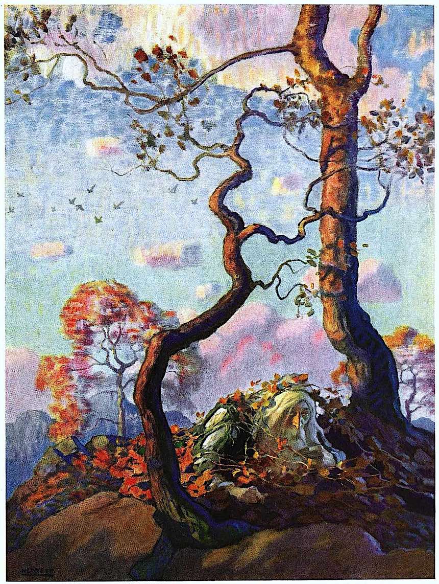 NC Wyeth NC Wyeth, Rip van Winkle, Rip van Winkel