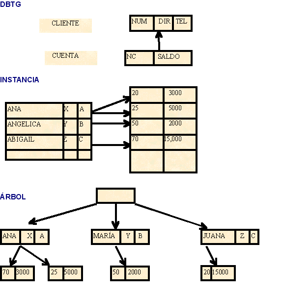 Modelo de base de datos de red: Ejemplos base de datos 