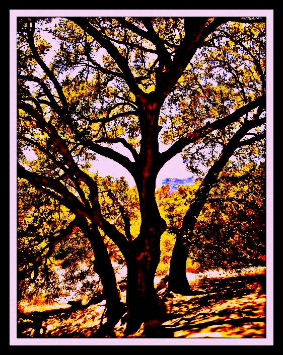 AHWAHNEE CAMPFIRE TALES Pretty Places