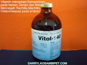 VITOL-140 (Holland)