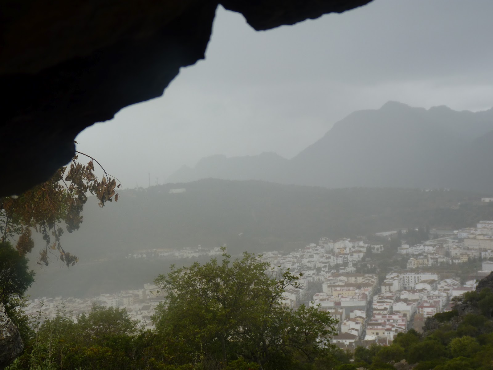 Ubrique en verde La sierra de Ubrique. Detalles1