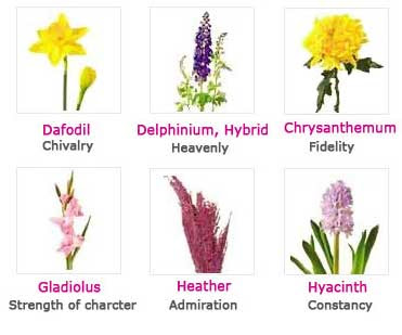 vucommand: Flowers And Their Meanings