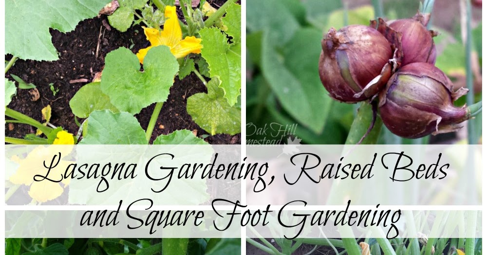 How to Combine Lasagna Gardening, Raised Beds and Square Foot Gardens