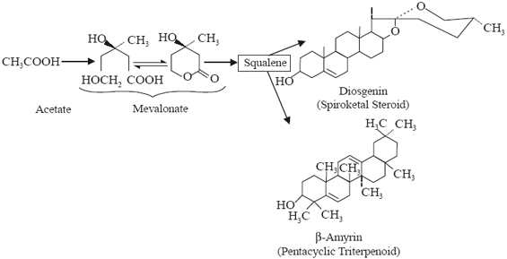 pentacyclic triterpenoids