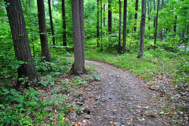 Southeastern PA Hiking Coventry Woods Preserve