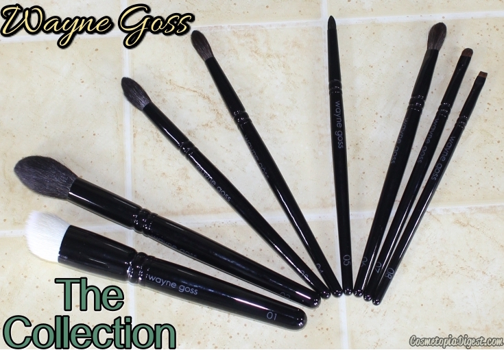 Review of all the Wayne Goss makeup brushes and how I use them. 