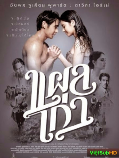 Người Tình Cũ