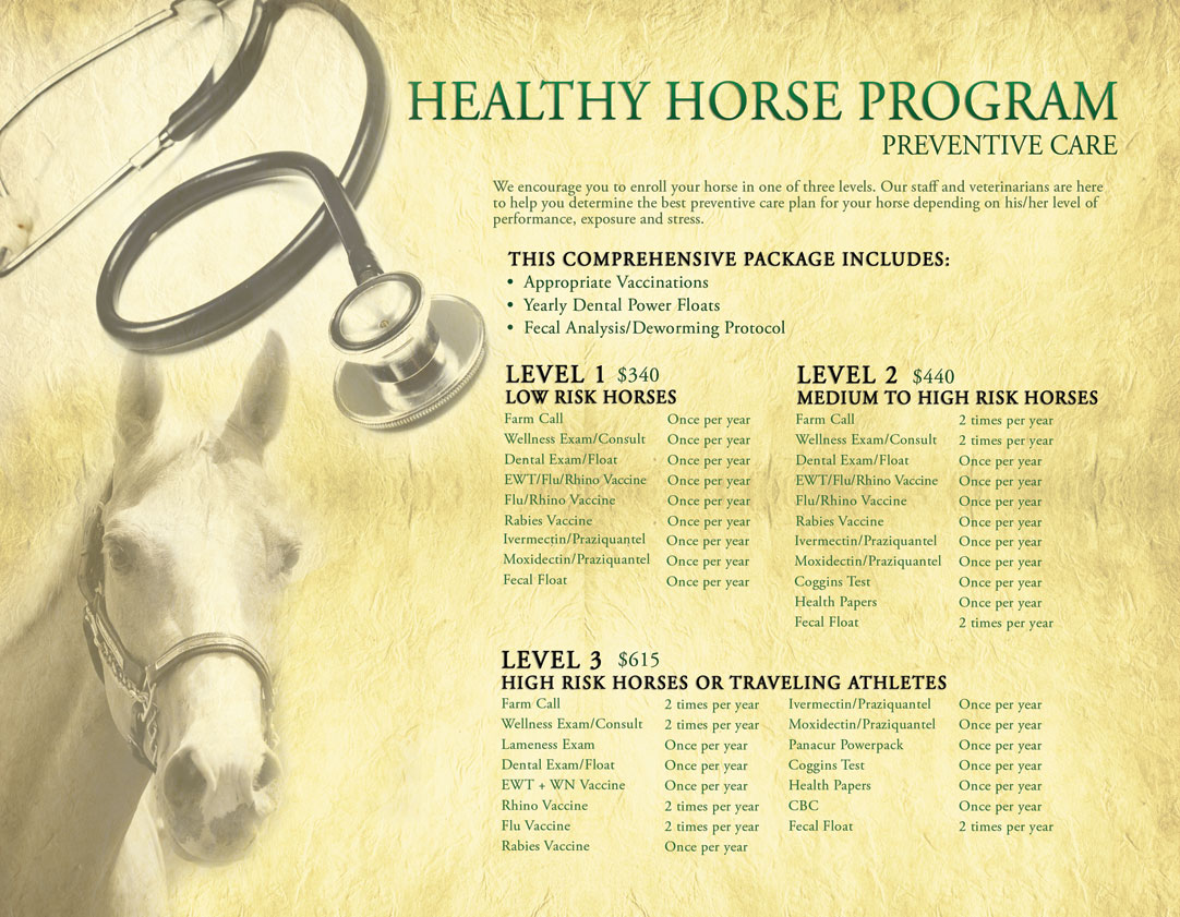 Equine Sports Medicine & Surgery