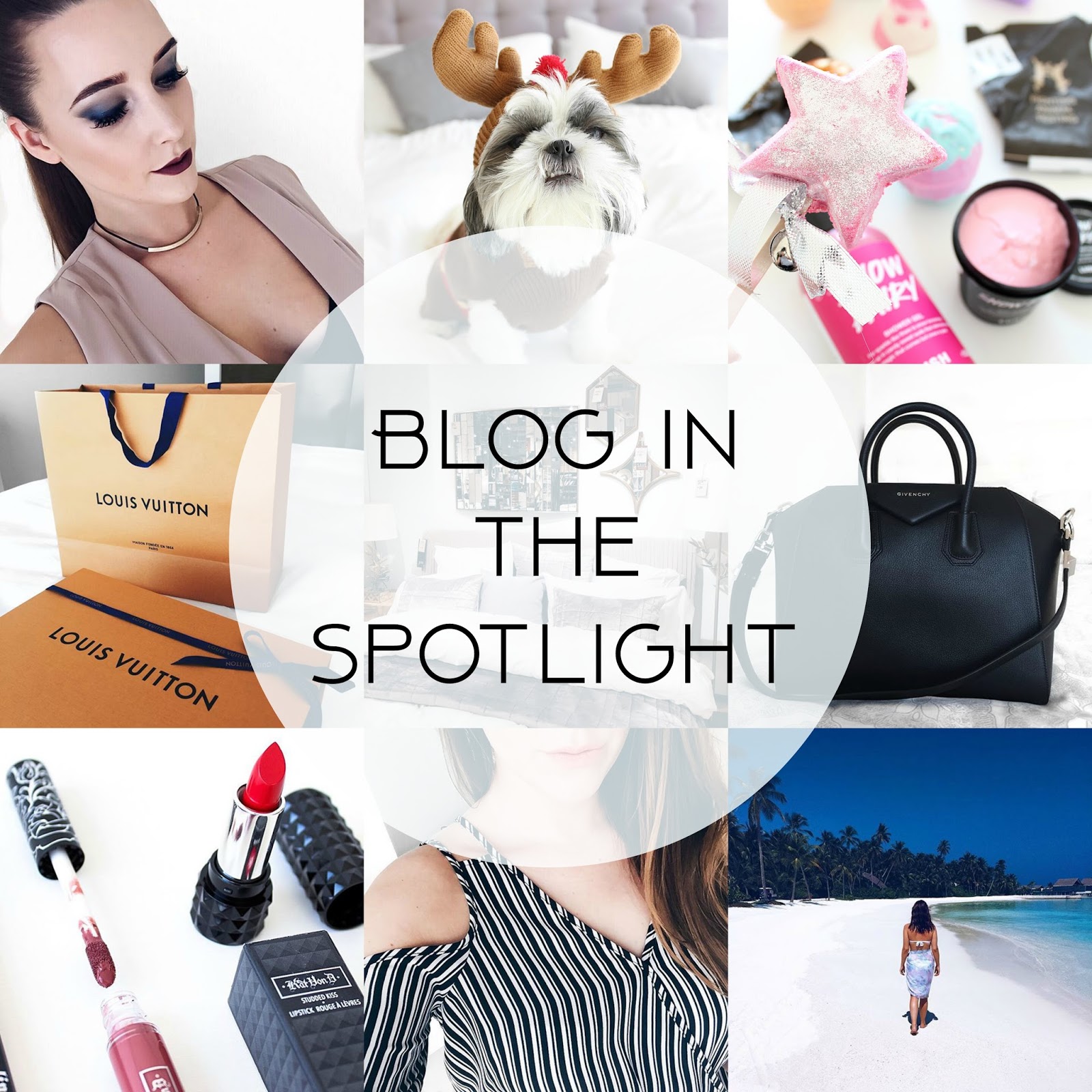 blog in the spotlight