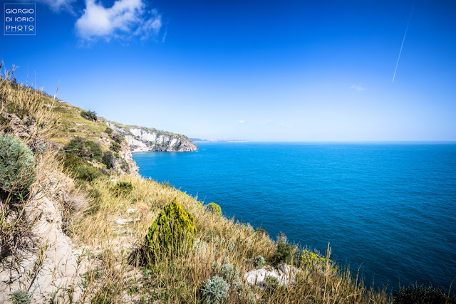 Campagnano Ischia, Grotta Ischia, Isola d' Ischia, Mare Ischia, Monte Vezzi Ischia, Paesaggi Ischitani, Piano Liguori, San Pancrazio Ischia, trekking Ischia, Ulivi Ischia, 