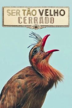 Ser Tão Velho Cerrado Torrent - WEB-DL 720p Nacional