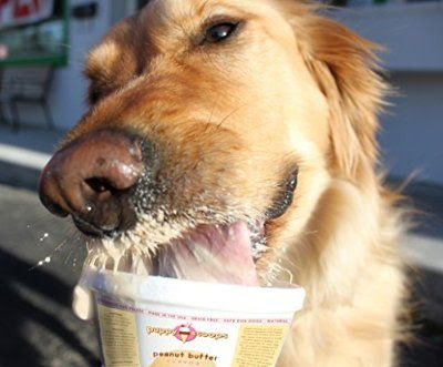 dog eating a ice cream