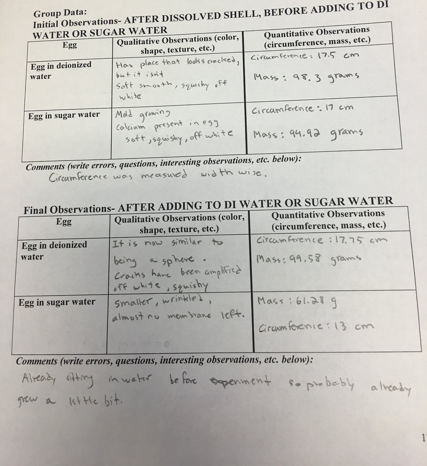 Egg Diffusion Lab