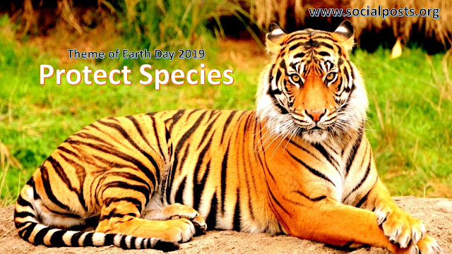 Earth Day Theme 2019