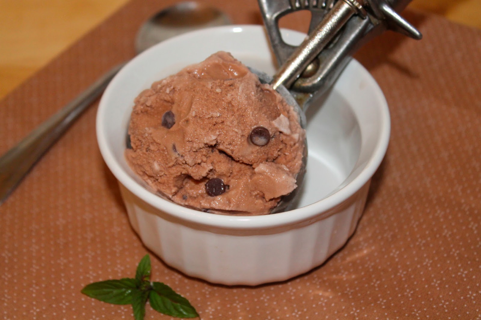 Savory Moments Chocolate mint chocolate chip ice cream