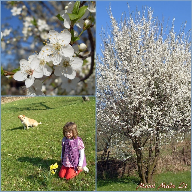 Garden Awakening - Der Garten erwacht