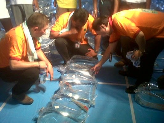 B Foli Denpasar Juarai Kontes Koi Tabanan