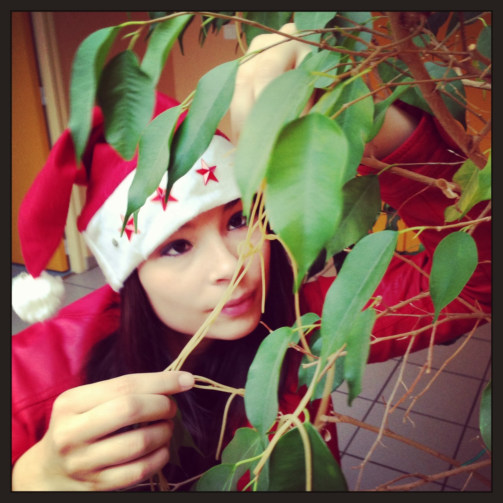 30 ans, j'te casse les dents.: Joyeux Noël toi-même