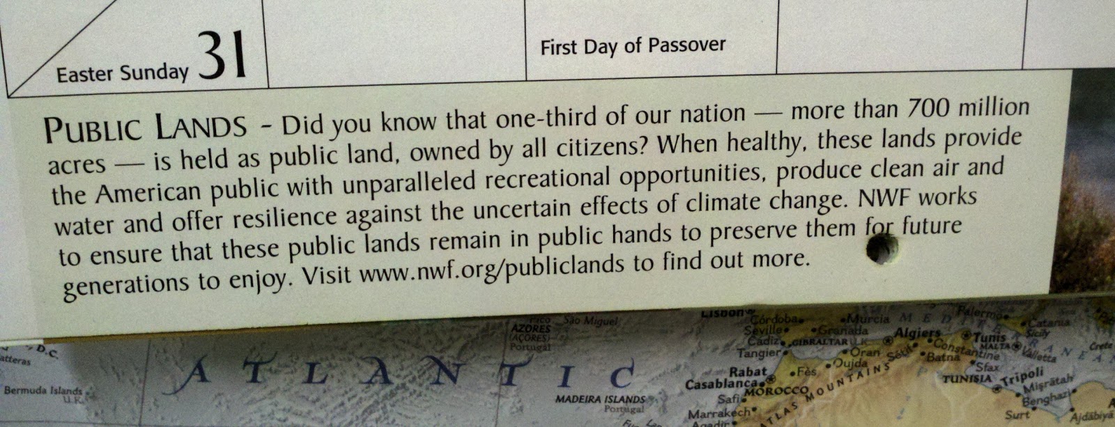 Birds From Behind Mis quote Of The Month Club  birds-from-behind-mis-quote-of-the-month-club
