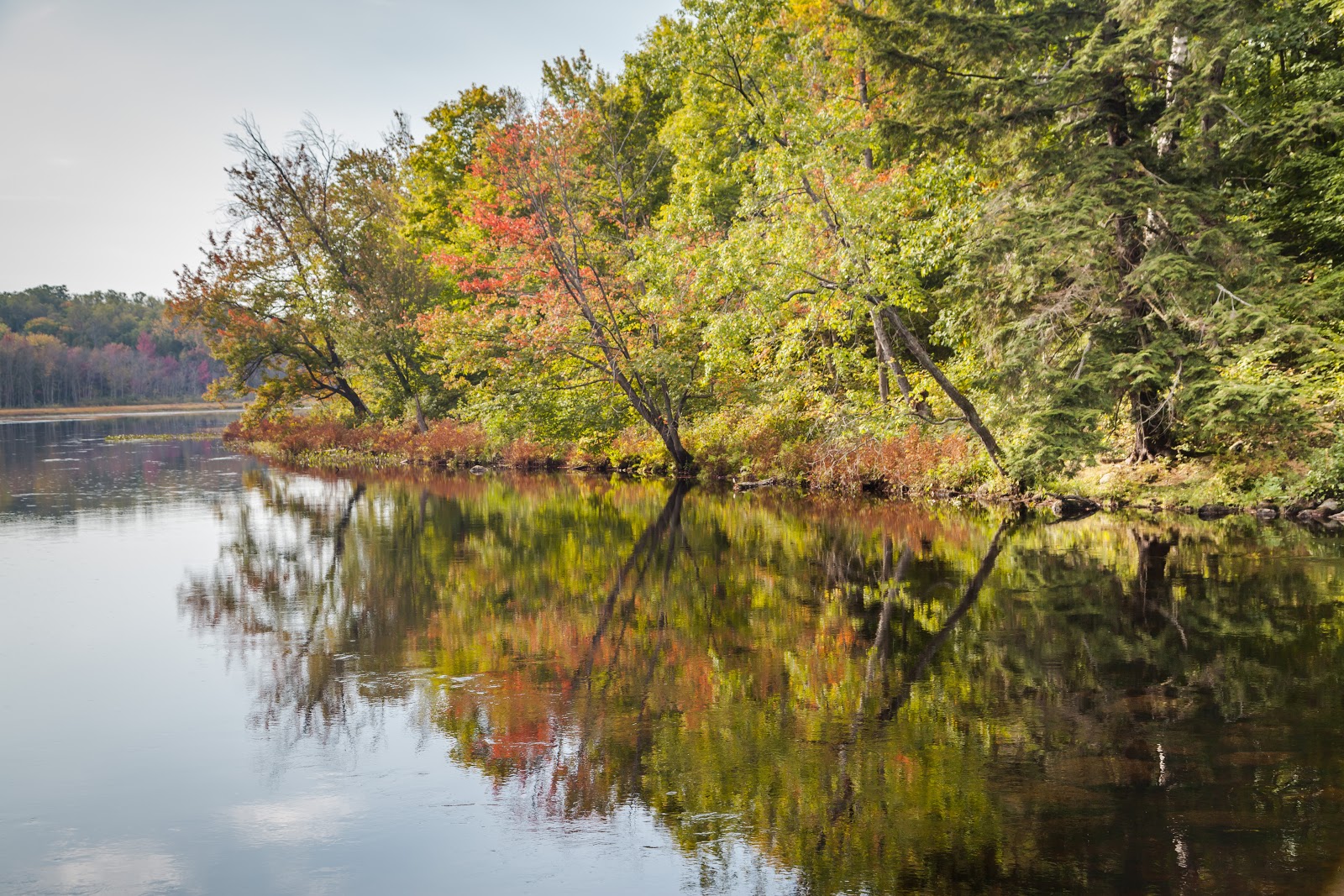 Take a Rest at Restoule Provincial Park Explore the World with Simon