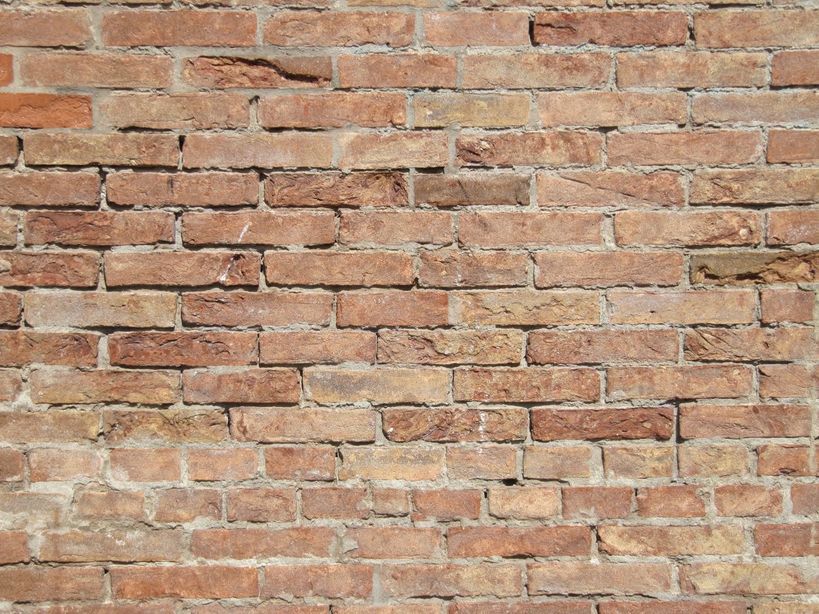 Qu'en pensez vous ? Mur en briques photo et fond d