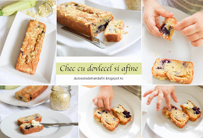 Chec cu dovlecel si afine