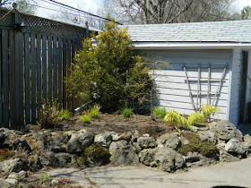 Scarborough Toronto rock garden after removing weeping mulberry by garden muses-not another Toronto gardening blog