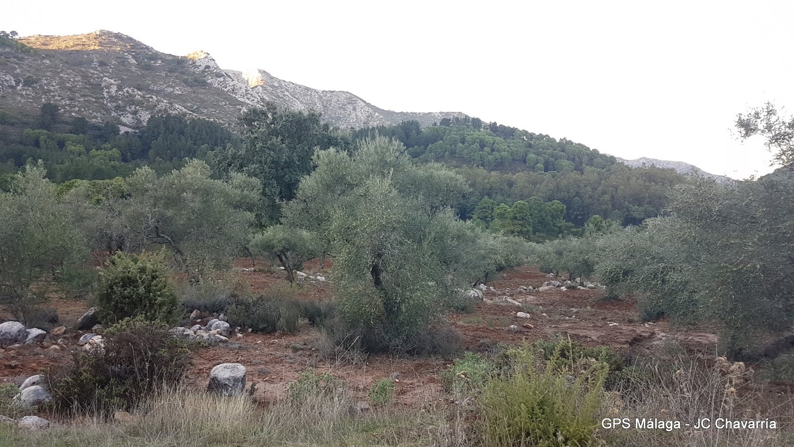 Wikiloc Ruta Circular Juanar Bosque Encantado, Castañas y Miradores