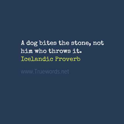 A dog bites the stone, not him who throws it